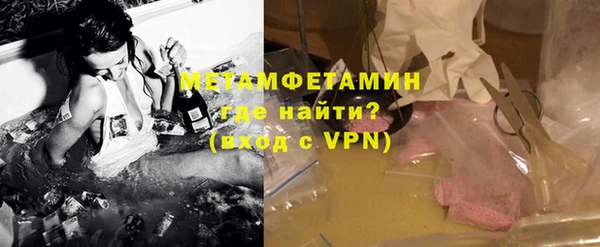 индика Алексин