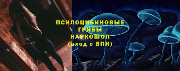 индика Алексин
