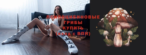 индика Алексин
