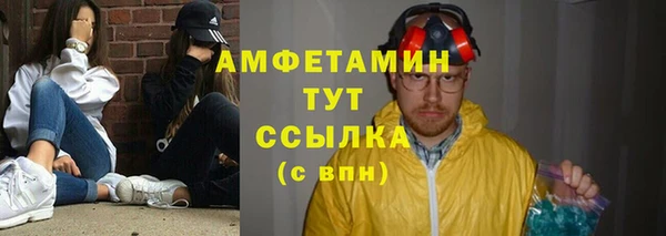 индика Алексин
