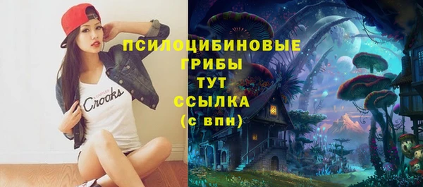 индика Алексин