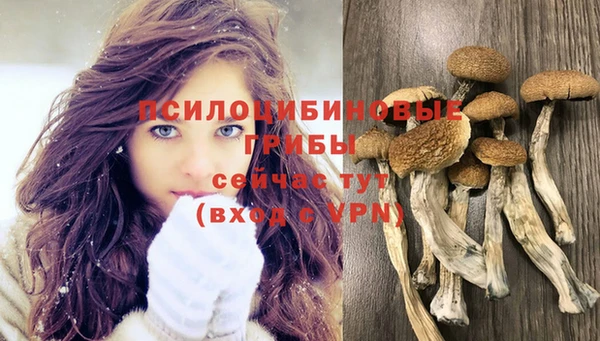 индика Алексин
