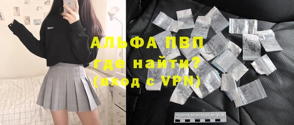 индика Алексин